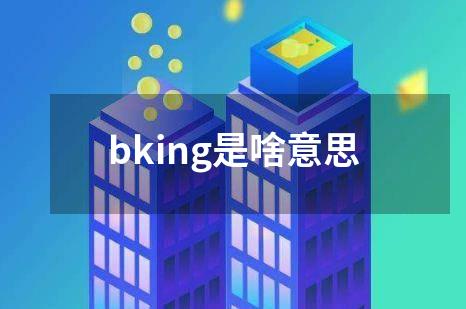 bking是啥意思