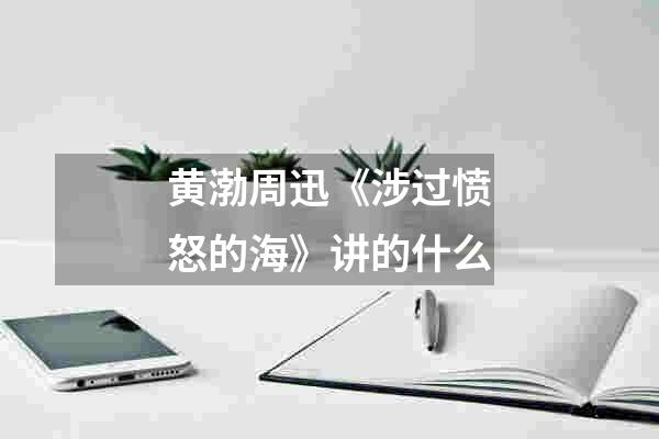 黄渤周迅《涉过愤怒的海》讲的什么