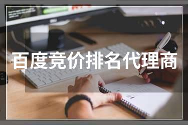 百度竞价排名代理商