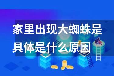 家里出现大蜘蛛是具体是什么原因