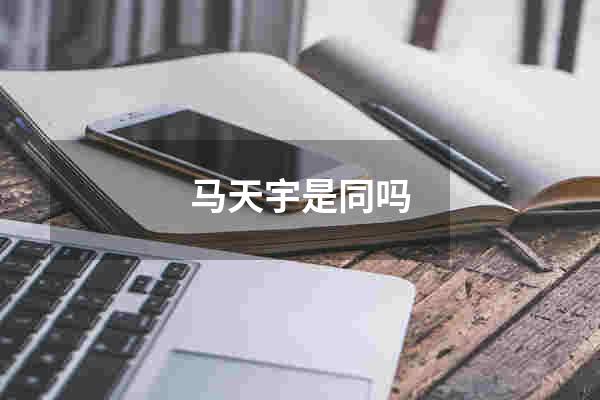马天宇是同吗