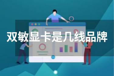 双敏显卡是几线品牌