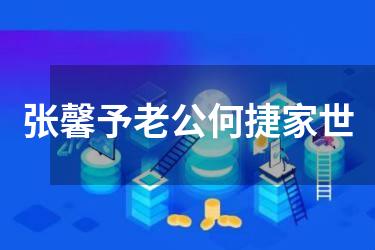 张馨予老公何捷家世