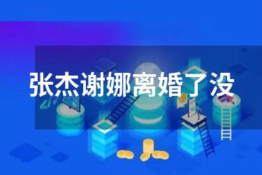 张杰谢娜离婚了没