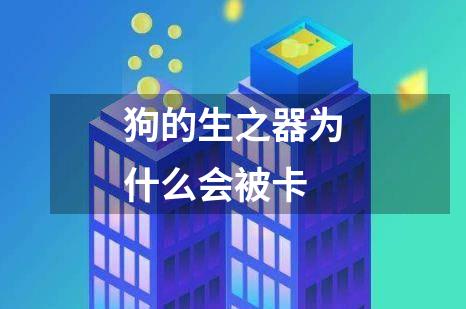 狗的生之器为什么会被卡