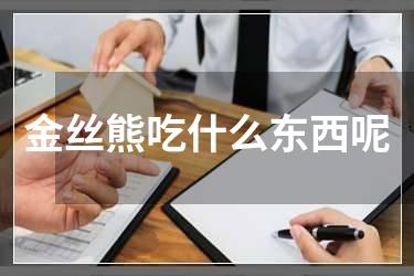 金丝熊吃什么东西呢