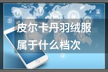 皮尔卡丹羽绒服属于什么档次
