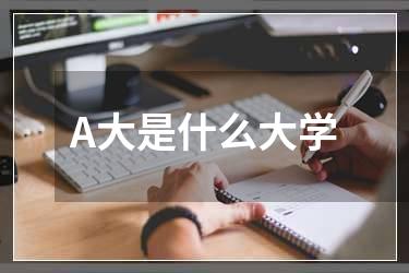 A大是什么大学