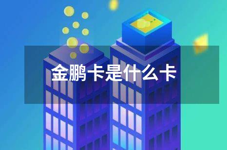 金鹏卡是什么卡