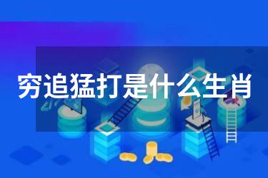 穷追猛打是什么生肖