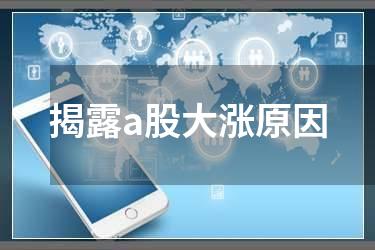 揭露a股大涨原因