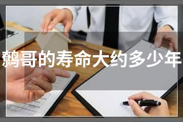 鹩哥的寿命大约多少年