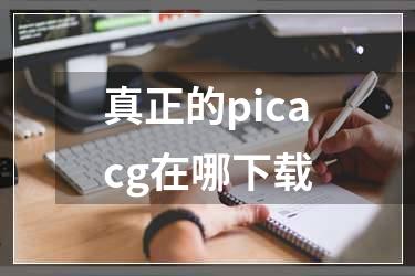 真正的picacg在哪下载