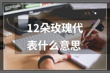 12朵玫瑰代表什么意思