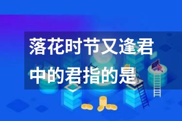 落花时节又逢君中的君指的是