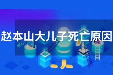 赵本山大儿子死亡原因