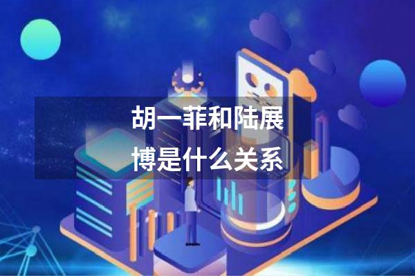 胡一菲和陆展博是什么关系