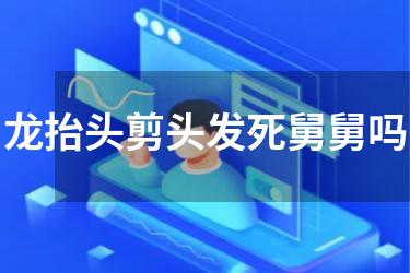 龙抬头剪头发死舅舅吗