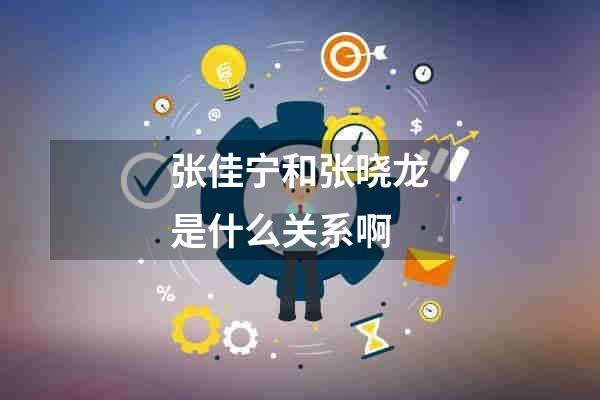 张佳宁和张晓龙是什么关系啊