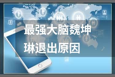 最强大脑魏坤琳退出原因