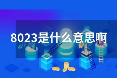 8023是什么意思啊