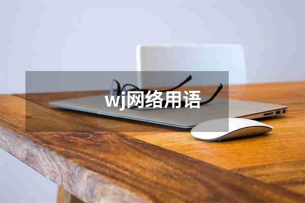 wj网络用语