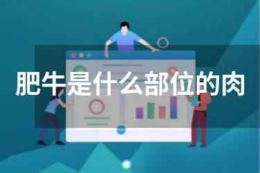 肥牛是什么部位的肉