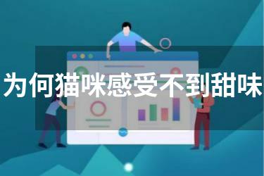 为何猫咪感受不到甜味