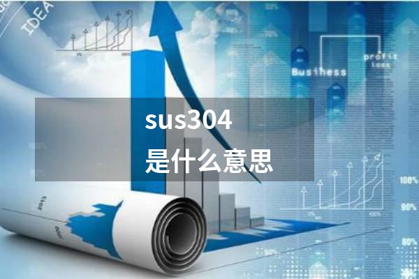 sus304是什么意思