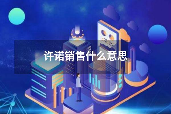 许诺销售什么意思