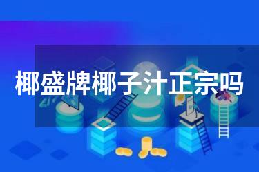 椰盛牌椰子汁正宗吗