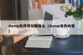 dump文件可以删除么（dump文件内容）