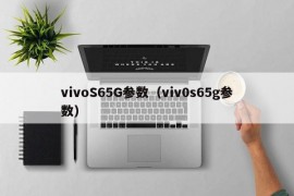 vivoS65G参数（viv0s65g参数）