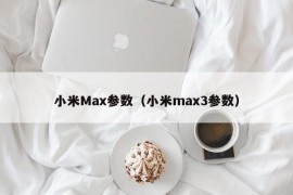 小米Max参数（小米max3参数）